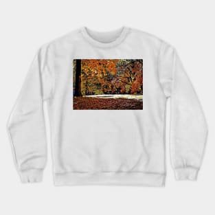 Trees In The Fall – Graphic 3 Crewneck Sweatshirt